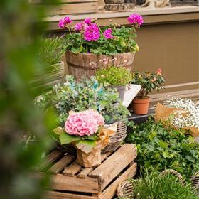 fwthumbBerriesBrandingShoot-158.jpg