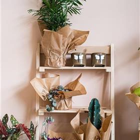 fwthumbBerriesBrandingShoot-62.jpg